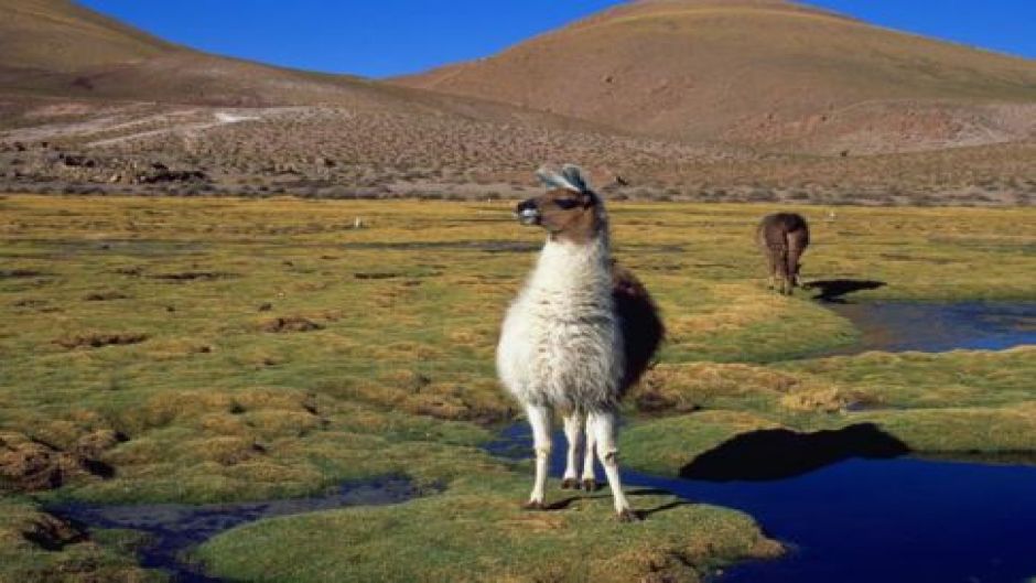 CONHECER SAN PEDRO DE ATACAMA, , 