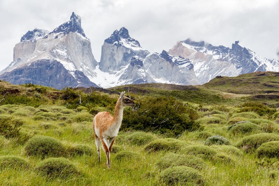 SANTIAGO E TORRES DEL PAINE, , 