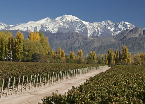 ESPECIAL DE MENDOZA