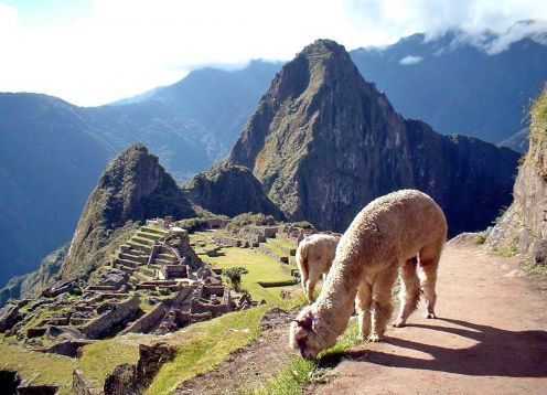 PEREGRINAÇÃO SAGRADA AO  MACHU PICCHU