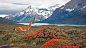 SANTIAGO E TORRES DEL PAINE, , 