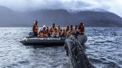 CRUZEIROS AUSTRALIS / PUNTA ARENAS - USHUAIA, , 