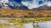 SANTIAGO - TORRES DEL PAINE - EL CALAFATE (ARGENTINA), , 