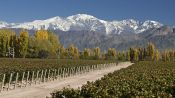 ESPECIAL DE MENDOZA, , 