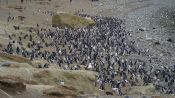 PUNTA ARENAS E PINGüIM, , 