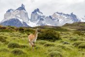 TORRES DEL PAINE E GLACIERS, , 