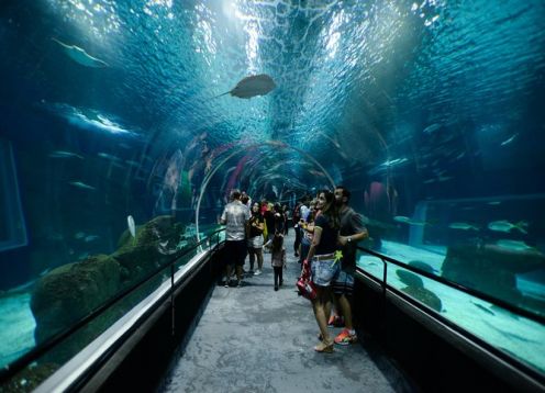 Tour fotográfico privado para crianças, incluindo Lagoa Aventura. Rio de Janeiro, BRASIL