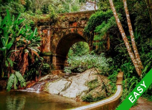 Trekking Parque Nacional da Tijuca, Rio de Janeiro, 