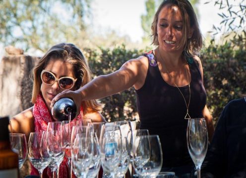 Enólogo: tour de vinhos exclusivo com almoço gourmet. Mendoza, ARGENTINA