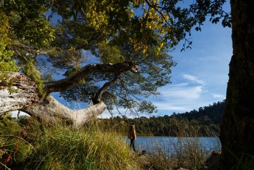 Excursão A  Parque Do Puyehue - E Termas Água Quente, Puerto Varas, Puerto Varas