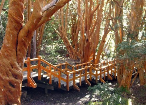 Navegação Ilha Victoria e Bosque de Arrayanes. , ARGENTINA