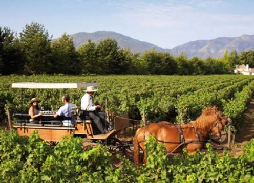 Rotas Do Vinho - Vale De Colchagua, Santiago