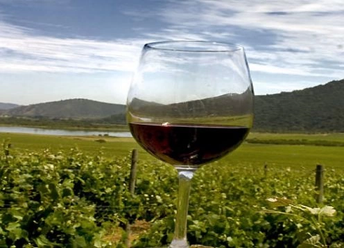 TOUR DE VINHO - VALE DE CASABLANCA, 