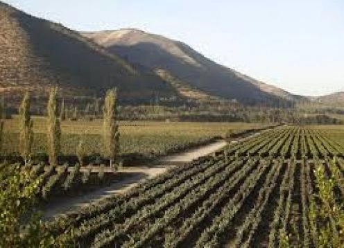 ROTA DOS VINHOS, SANTA RITA VINHA E VINHA UNDURRAGA, 