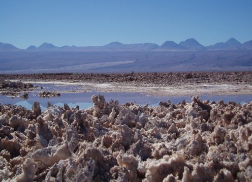  LAGUNAS ALTIPLANICAS -SALAR DE ATACAMA , 