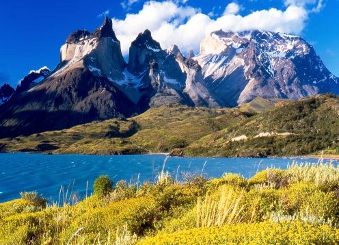  Excursão de dia inteiro ao Parque Nacional Torres del Paine. , CHILE