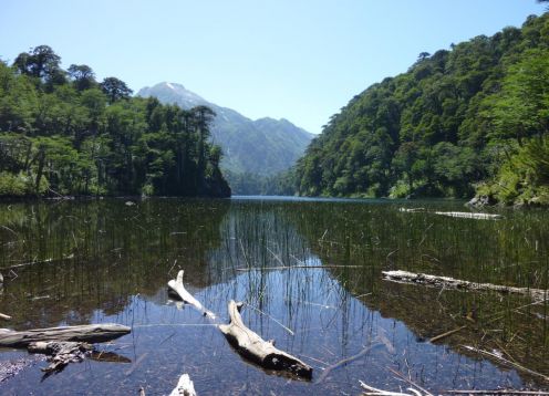 Trekking Parque Nacional Huerquehue, Pucon