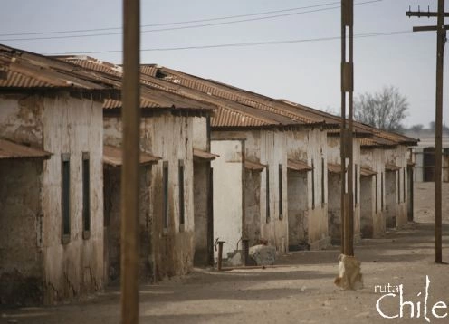 Iliviche - Unita - Pintado - Salitrera - Iquique, Arica