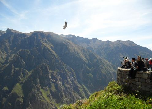 Excursão de dia inteiro ao Colca Canyon. Arequipa, PERU