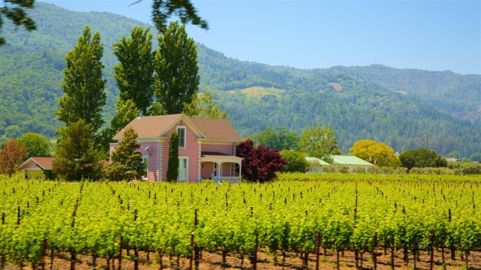 ExcursÃ£o em SÃ£o Francisco para conhecer Sequioias e Vinhos, San Francisco, CA, ESTADOS UNIDOS