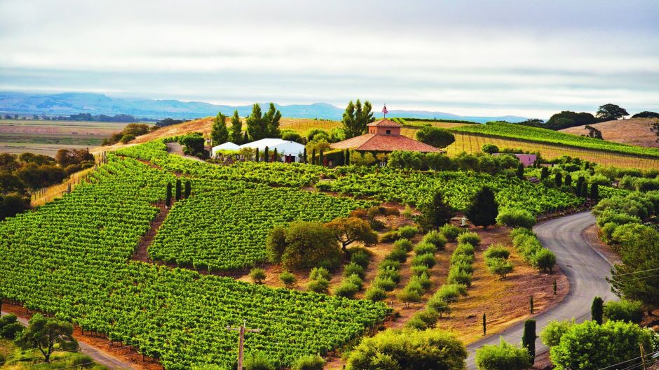 ExcursÃ£o em SÃ£o Francisco para conhecer Sequioias e Vinhos, San Francisco, CA, ESTADOS UNIDOS