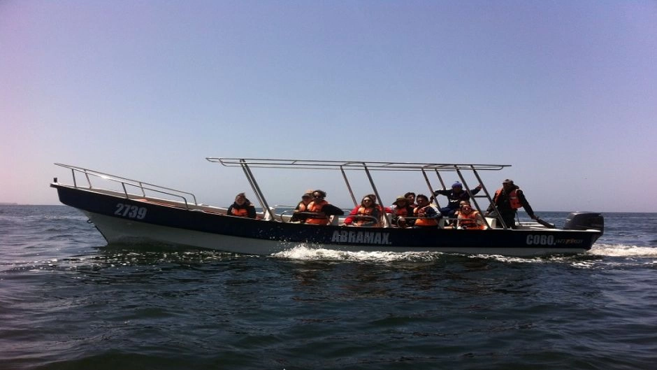 Chanaral  de Aceituno Tour - (ObservaÃ§Ã£o da baleia), La Serena, CHILE