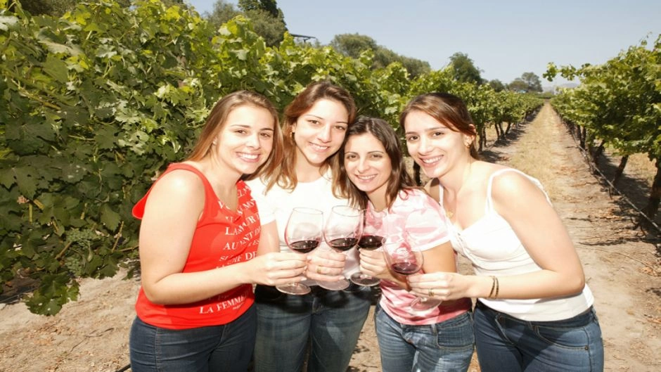 City Tour + Concha y Toro tour de vinhos., Santiago, CHILE