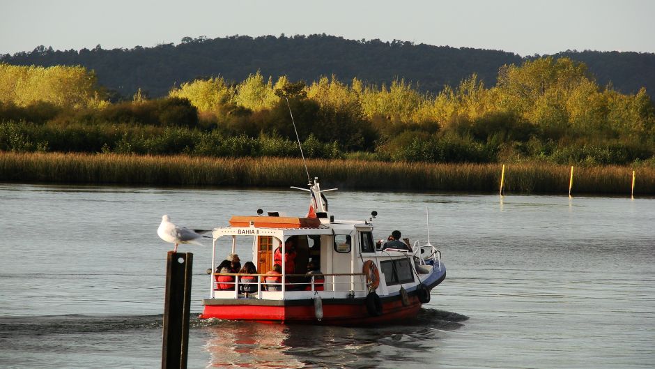 NAVEGAÃ§Ã£O CIRCUITO  ISLA TEJA, Valdivia, CHILE