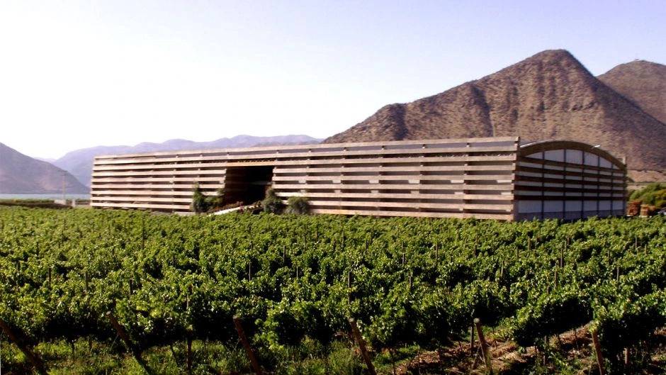 Rota do vinho, Valle del Limari., La Serena, CHILE