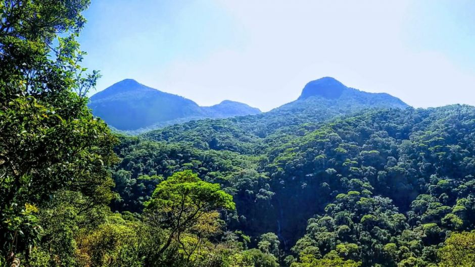 Trekking Parque Nacional da Tijuca, Rio de Janeiro, Rio de Janeiro, BRASIL