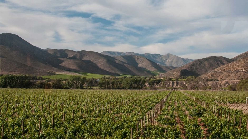 Excursao ao Valle del Elqui, La Serena, CHILE