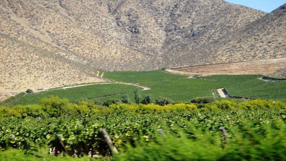 Excursao ao Valle del Elqui, La Serena, CHILE