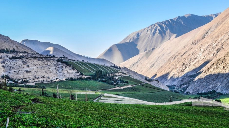 Excursao ao Valle del Elqui, La Serena, CHILE