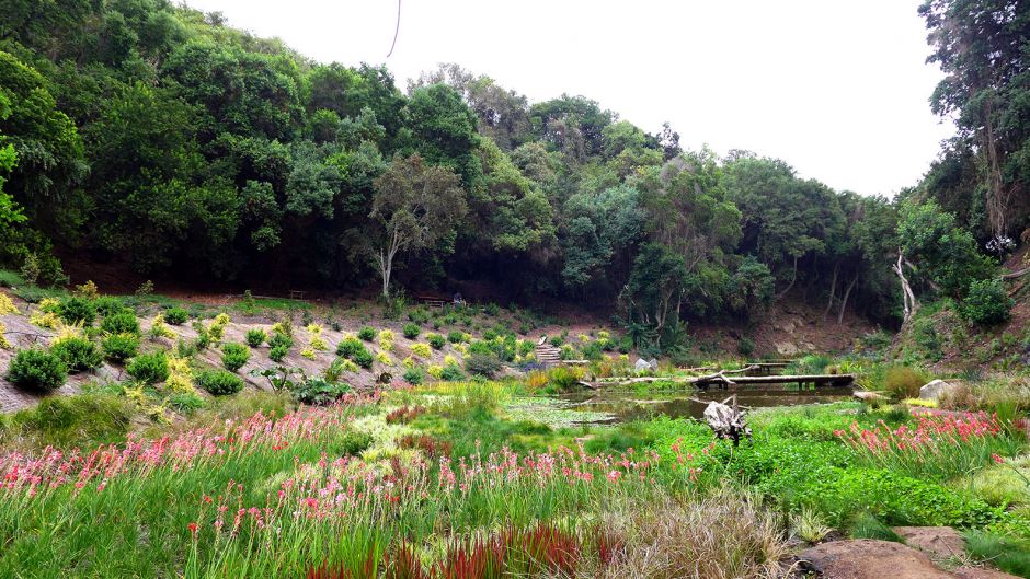 ExcursÃ£o Terrestre em San Antonio, Parque Tricao, San Antonio, CHILE