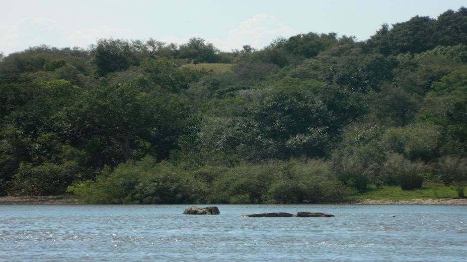 Navegar no Delta e zona norte, Buenos Aires, ARGENTINA