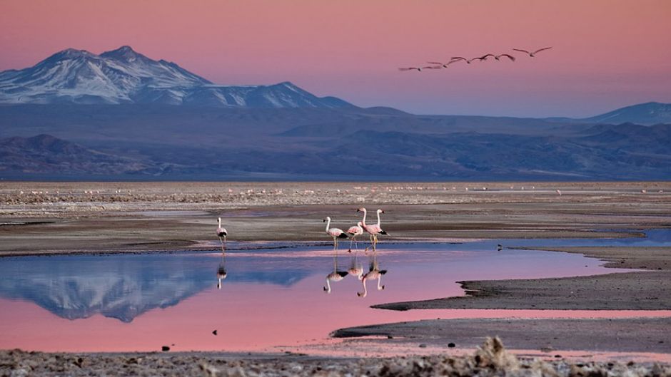 SALAR DE ATACAMA - LAGUNAS ALTIPLANTES, E PEDRAS VERMELHAS, San Pedro de Atacama, CHILE