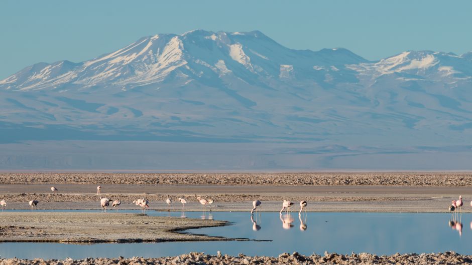 SALAR DE ATACAMA - LAGUNAS ALTIPLANTES, E PEDRAS VERMELHAS, San Pedro de Atacama, CHILE