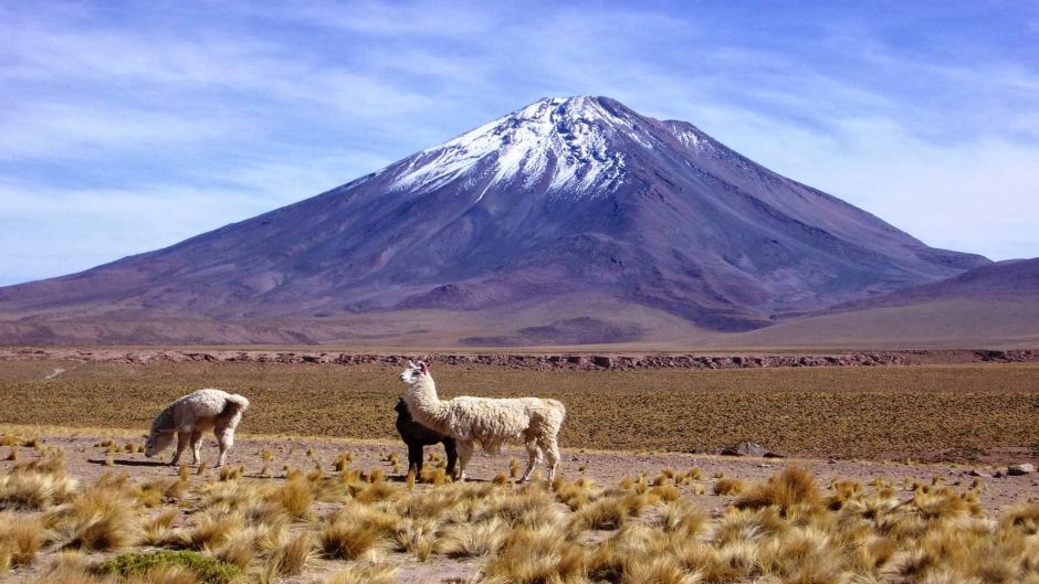 AscensÃ£o Volcan Licancabur, San Pedro de Atacama, CHILE