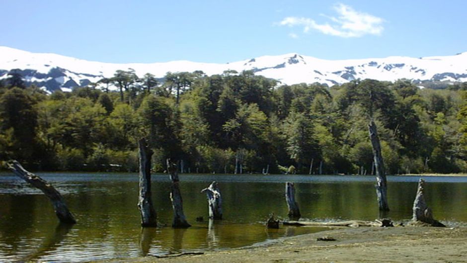 TREKKING PARQUE NACIONAL CONGUILLIO, Pucon, CHILE