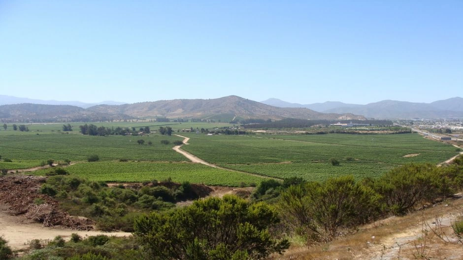 TOUR DE VINHO - VALE DE CASABLANCA, Santiago, CHILE