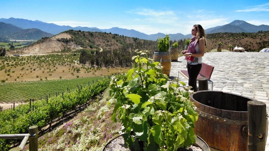 TOUR DE VINHO - VALE DE CASABLANCA, Santiago, CHILE