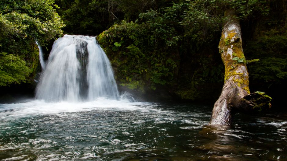 EXCURSÃ£O PARQUE PUYEHUE E EXCURSION PUYEHUE Y TERMAS DE AGUA CALIENTE AGUAS CALIENTES, Puerto Montt, CHILE