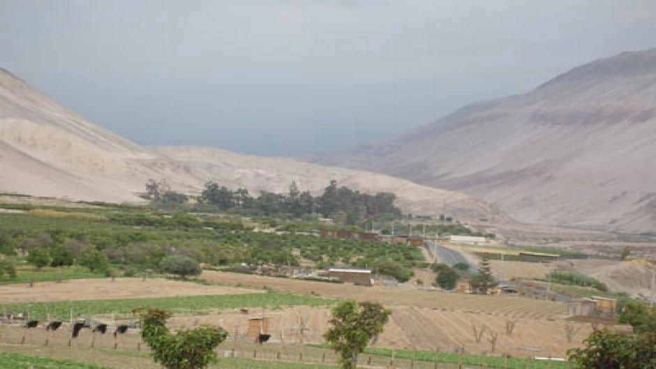 CITY TOUR ARICA & ARQUEOLOGIA AZAPA, Arica, CHILE