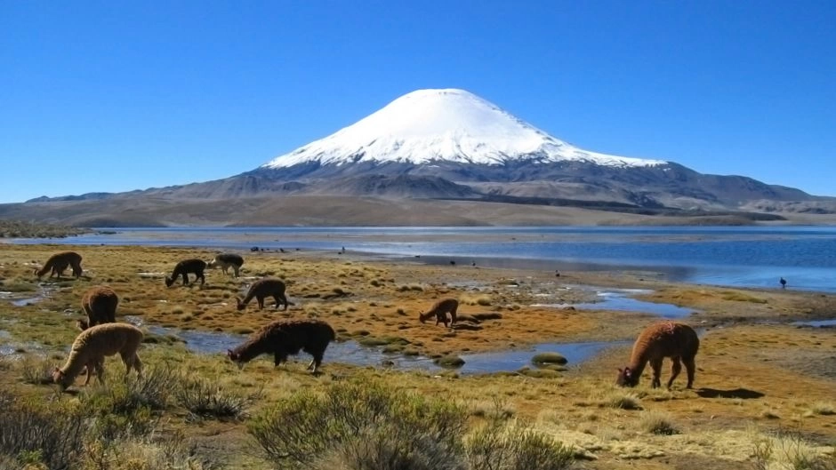 PARQUE NACIONAL LAUCA E LAGO CHUNGARA, Arica, CHILE