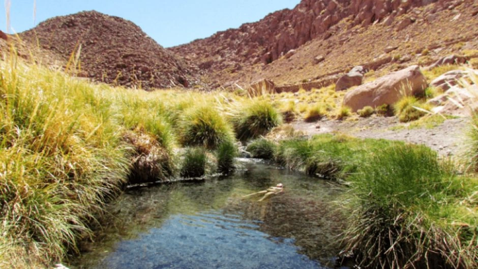 TERMAS DE PURITAMA, San Pedro de Atacama, CHILE