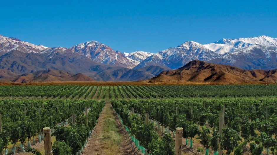 ROTA DOS VINHOS 1/2 DIA EM MENDOZA, Mendoza, ARGENTINA