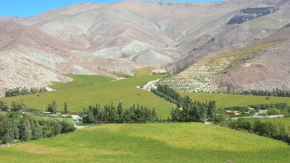 Excursao ao Valle del Elqui, La Serena, CHILE