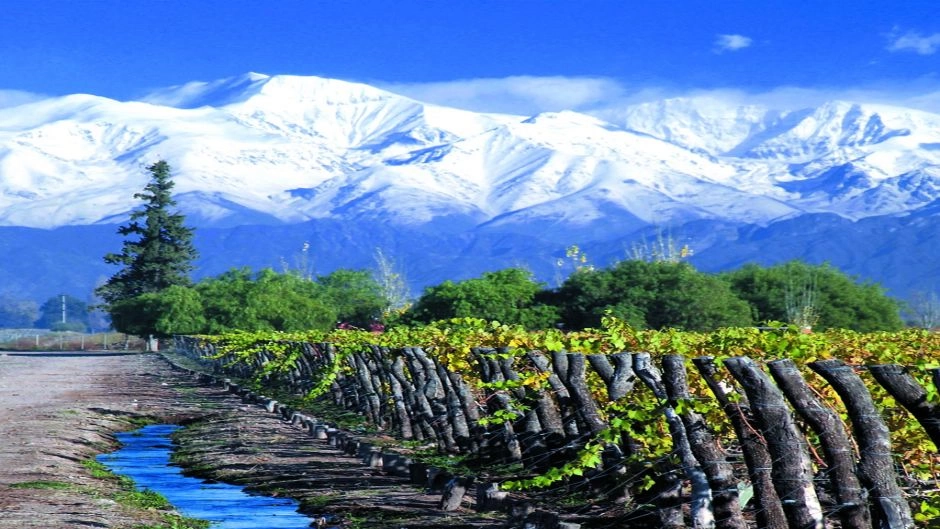 WINE TOUR, Ã¡REA CENTRAL DA CIDADE DE MENDOZA, Mendoza, ARGENTINA