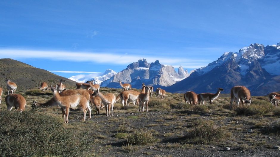 EXCURSÃ£O AO DIA TORRES DEL PAINE, Torres del Paine, CHILE