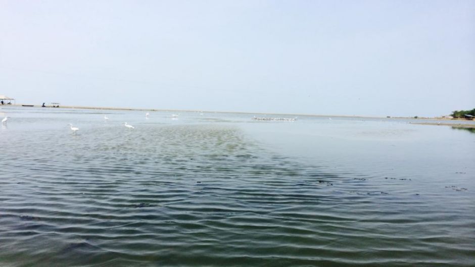 Tour por los manglares de Boquilla, Cartagena das Índias, Colômbia